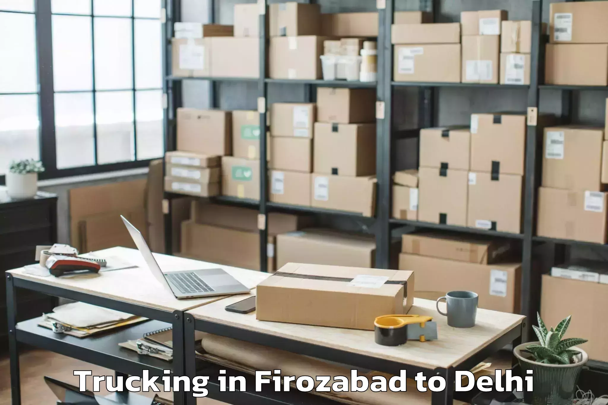 Book Firozabad to Chandinchowk Trucking